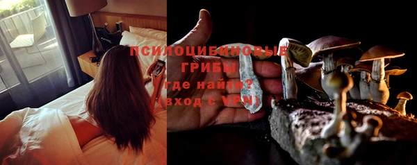 прущие крисы Осташков
