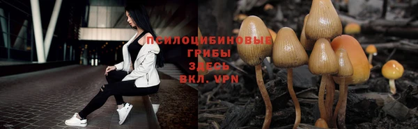 прущие крисы Осташков