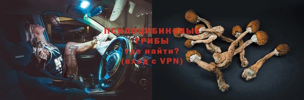 сатива Осинники