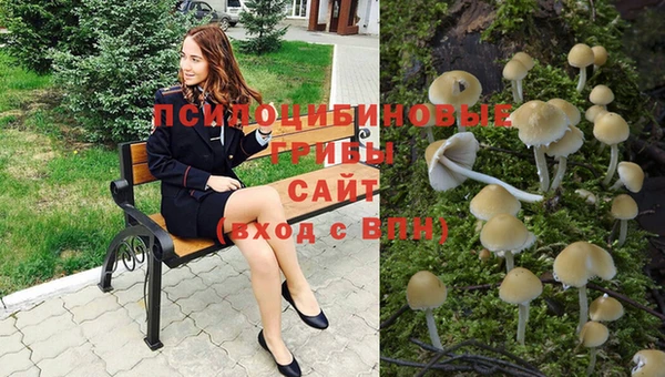 прущие крисы Осташков