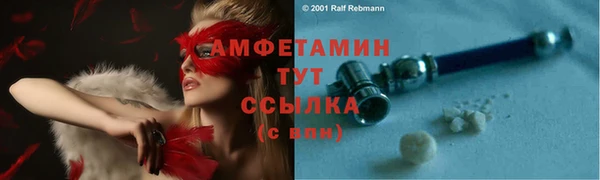 сатива Осинники